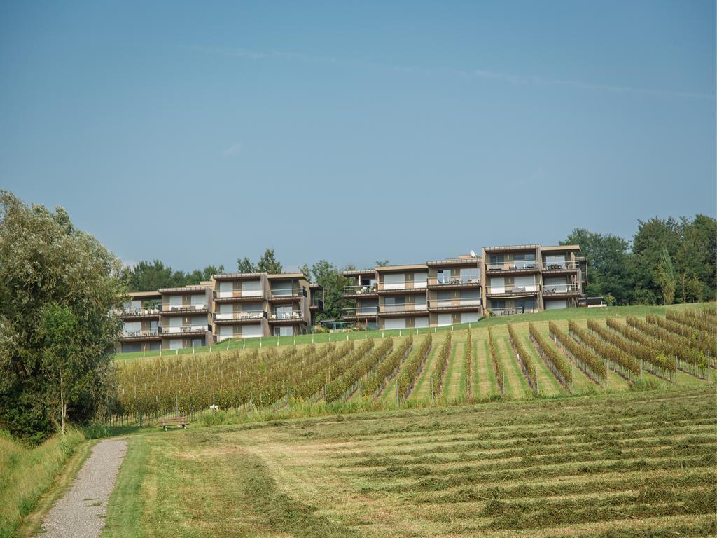 Apartmán Wohnen Im Wein Ehrenhausen Exteriér fotografie